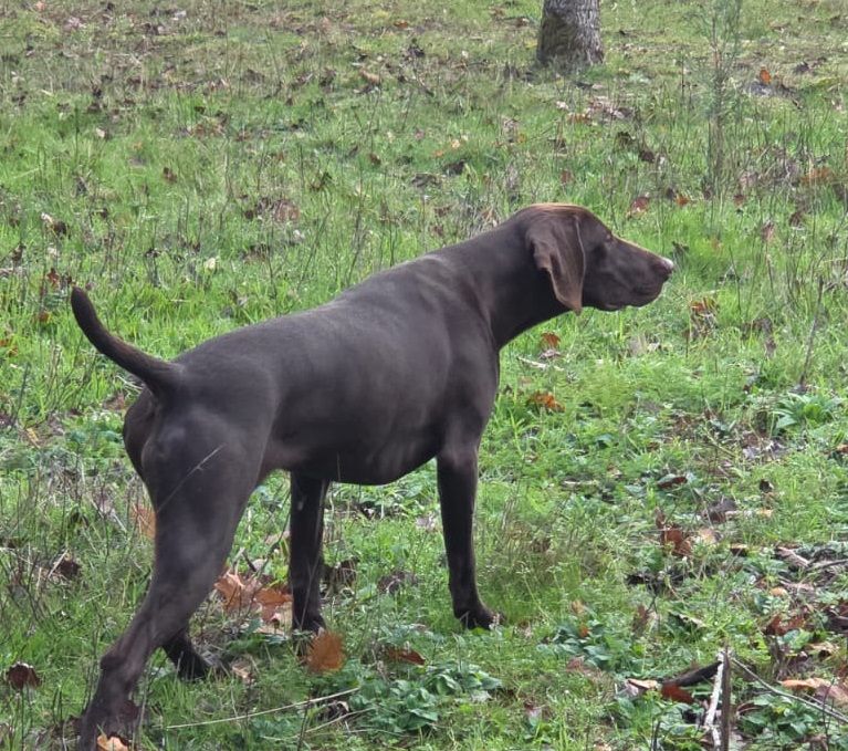 Ahrane des Granges de la Dombes