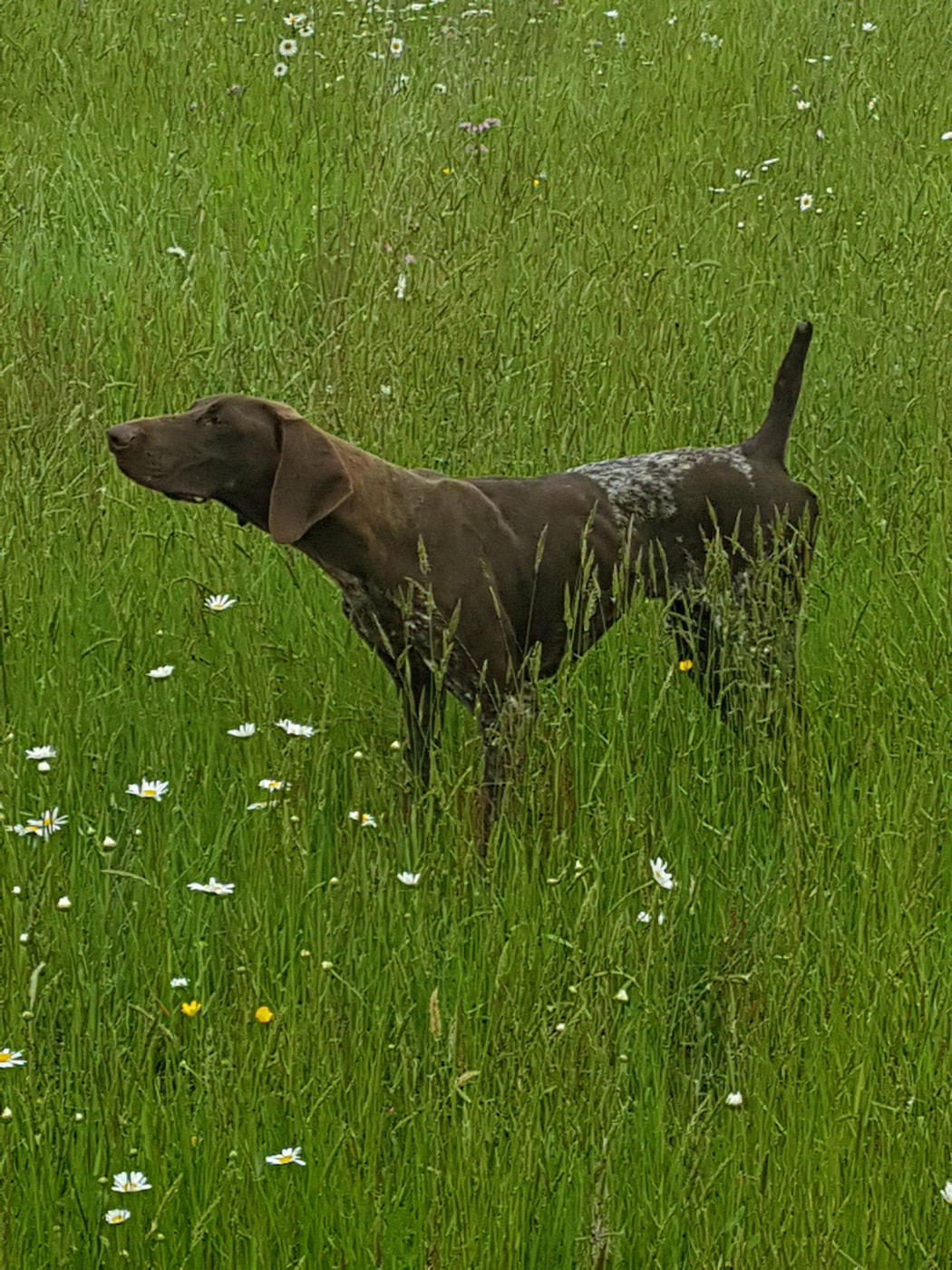 bb en vue fin fevrier 2026